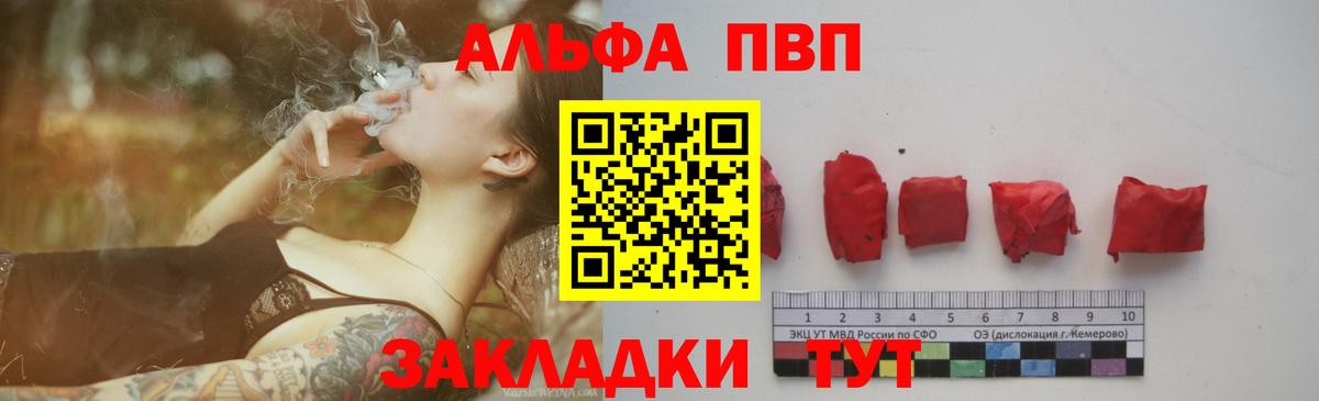Alfa_PVP СК Троицк