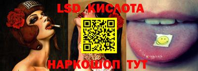 гидра Новозыбков