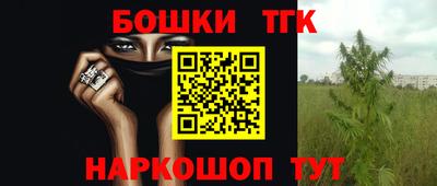 гидра Новозыбков