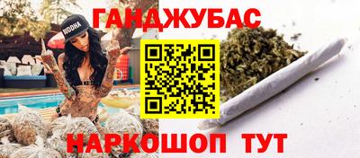 гидра Новозыбков