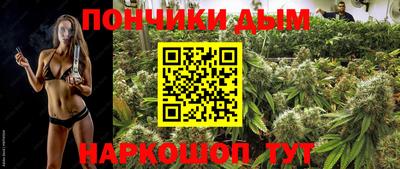 гидра Новозыбков