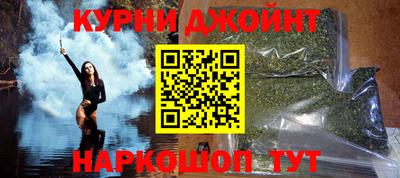 гидра Новозыбков