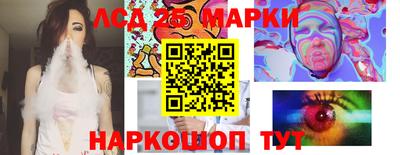 гидра Новозыбков
