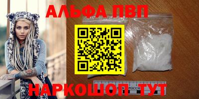 гидра Новозыбков